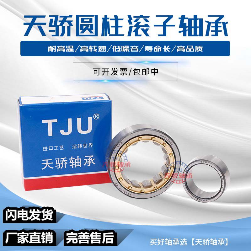 Cylindrical roller bearings NJ NU N NUP304 305306307308309310 311EM-Taobao