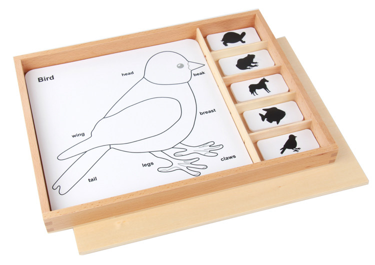 Monte teaching aids Montasiolli teaching aids Montessori Animals three-section Carzoon Plants three-part card three-part card-Taobao