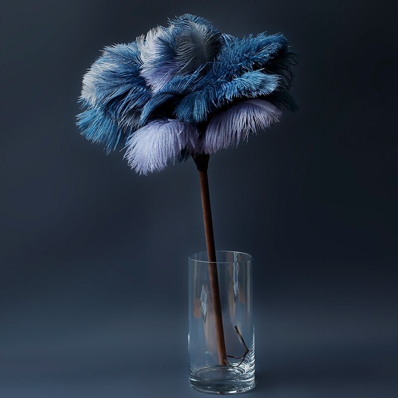 Ostrich Feather Duster, Dust Removal Duster, Electrostatic Dust Removal Duster, Household Feather Duster, Dense Cleaning Dust Removal Tool, Decorative