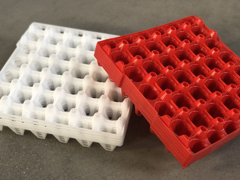 Golden Phoenix plastic egg tray wild chicken egg tray 30 egg packaging box can be equipped with egg box transport color