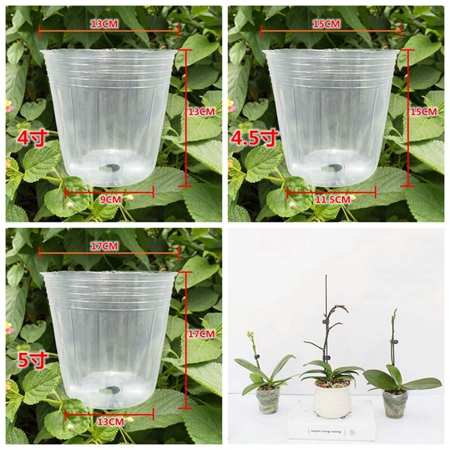 Phalaenopsis ຖ້ວຍໂພຊະນາການພິເສດ ຖ້ວຍປູກກ້ວຍໄມ້ປູກດອກໄມ້ dendrobium orchid seedling transparent plastic pot nutrition bowl