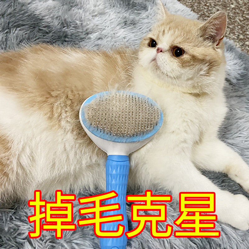 Pooch Comb Kitty Brush Teddy Gold Hair Special Dog Hair Brush God Instrumental Pet Dresser Large Dog's Supplies