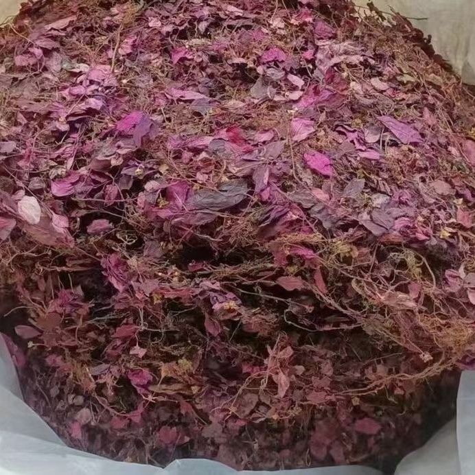 Authentic Wild Fujian Wind Cabinet Grass, Small-Leaf, All-Red, Nourishing Moon Grass, Dry Moon Grass, Red Wind Valley Grass, Late-Night Grass