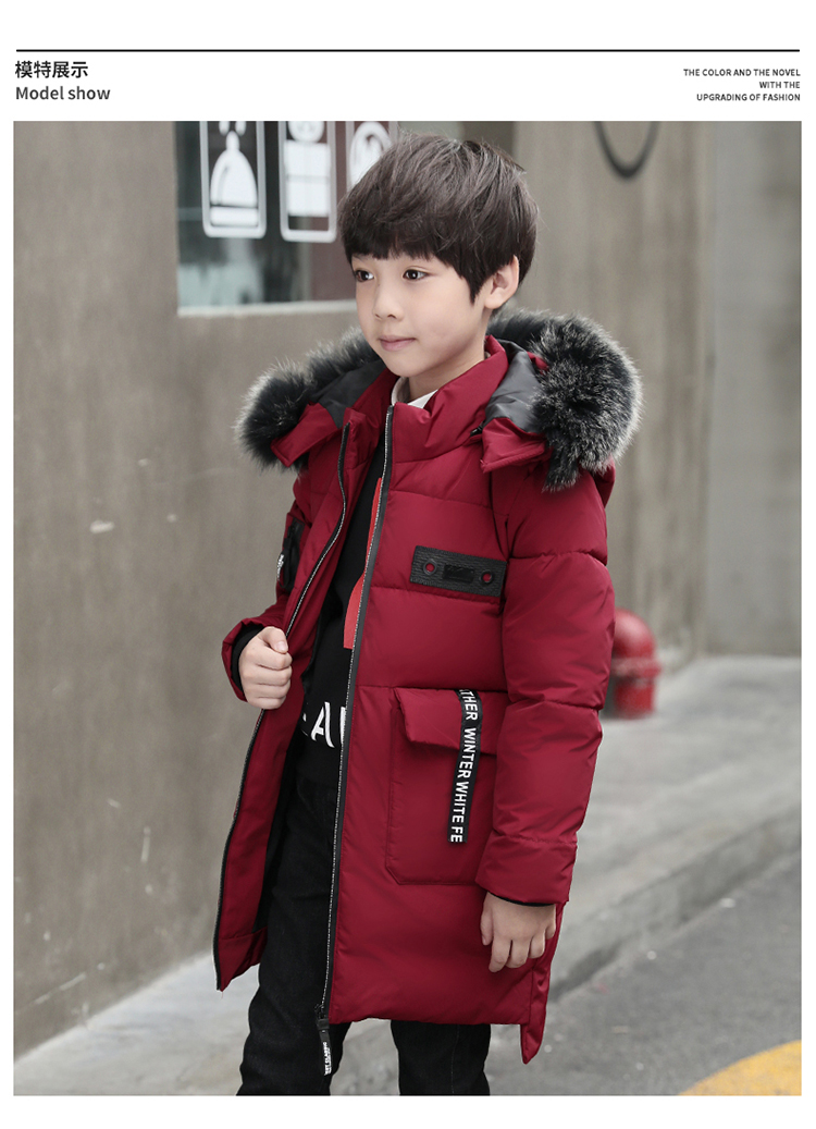 Blouson hiver pour homme   OTHER - Ref 3112415 Image 20