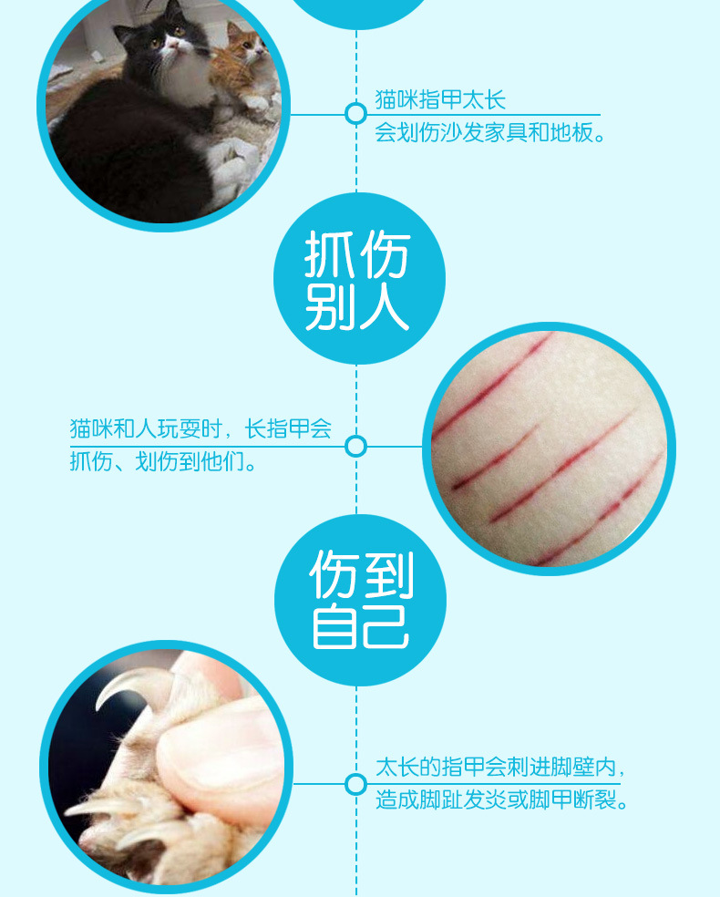 Pet dog cat cắt móng tay mèo nail kéo nail ba lan dog beauty công cụ làm sạch kéo đặc biệt tạo tác nguồn cung cấp lược chải lông poodle