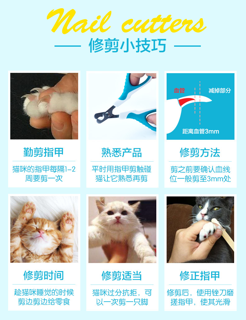 Pet dog cat cắt móng tay mèo nail kéo nail ba lan dog beauty công cụ làm sạch kéo đặc biệt tạo tác nguồn cung cấp lược chải lông poodle