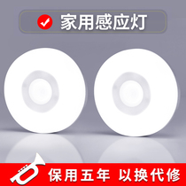 Human body induction night light Home stairs Aisle door opening Intelligent voice control Light control Unplugged cabinet Kitchen wall lamp