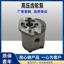 Hydraulic oil pump high-pressure gear pump 2GG1P11R 2GG1P14R 18R 28R 22R 2GG1P33R