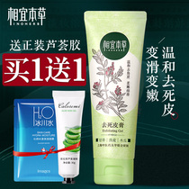 Suitable Materia Medica Exfoliating cream Exfoliating mousse Face Deep cleansing of the face Pores shrink pores scrub