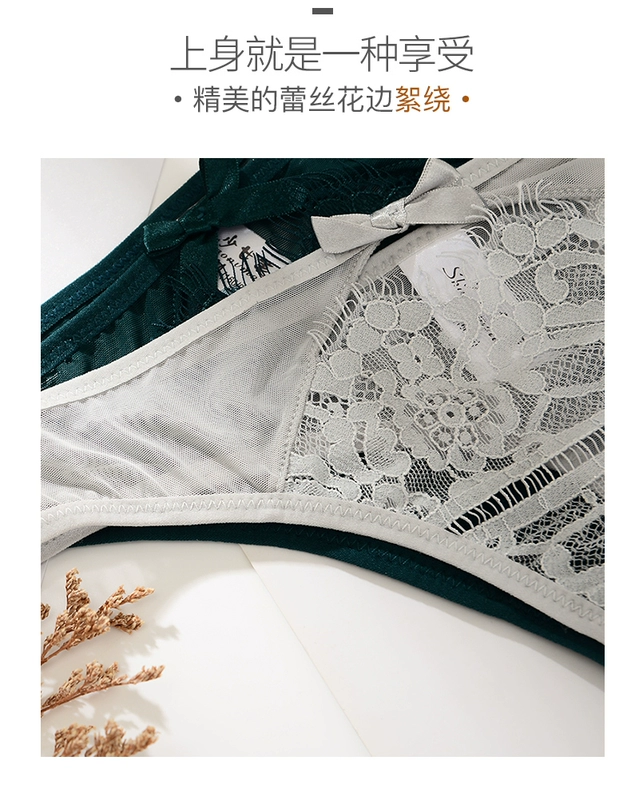 Châu Âu và Mỹ đồ lót lưới gợi cảm nữ ren lông nóng thongs siêu mỏng mờ cám dỗ kích thước lớn quần chip cotton