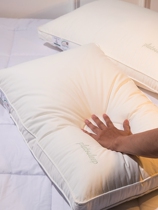 High-end Hilton pillow full cotton anti-bacterial anti-mite cervical spine sleep pillow core home without collapse to a single person