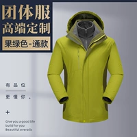 C01 Tyson Wolf-Fruit Green