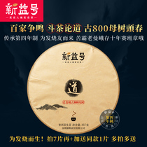 2020 spring tea Xinyi a hundred schools of thought tea ancient 800 bitter mother tree old man Puer tea