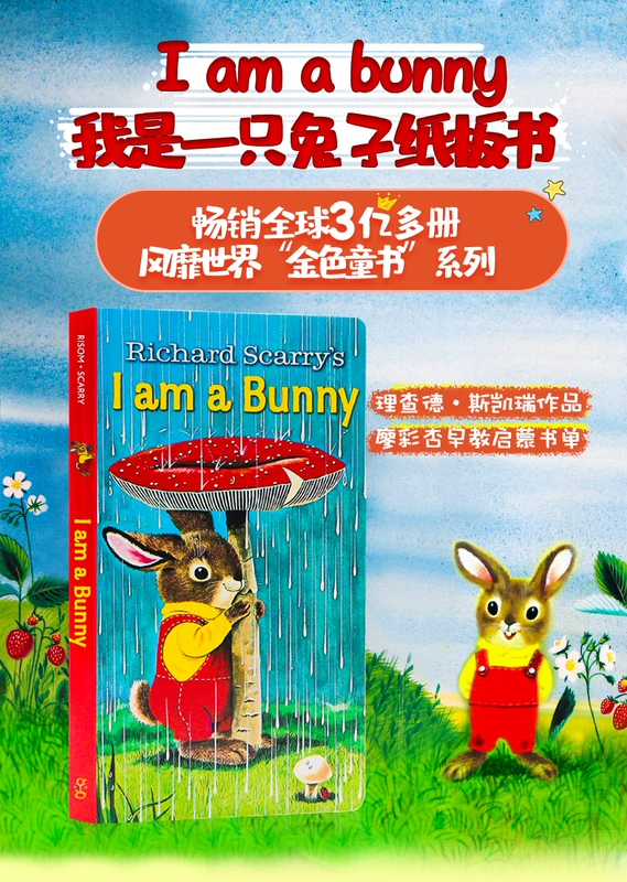 Anh cuốn truyện tranh gốc I Am một Bunny Tôi là một con thỏ thân mến Zoo Thưa Zoo Gấu nâu gì Bạn có thấy Gấu nâu 3 bìa truyện tranh cuốn sách Carl ông dearzoo