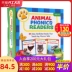 cha mẹ ngôn ngữ động vật Scholastic đọc bản gốc tiếng Anh của nhãn hiệu Animal Phonics Readers Chánh Pack và truyện tranh trẻ nhỏ của hình ảnh sách mầm non nhận thức giác ngộ bé trò chơi cuốn sách Đồ chơi giáo dục