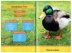 English truyện tranh gốc National Geographic Kids Readers: Vịt Vịt National Geographic Kids Encyclopedia of đọc độc giả chấm điểm cuốn sách bìa mềm đồ họa đầy màu sắc cha mẹ và con Đồ chơi giáo dục