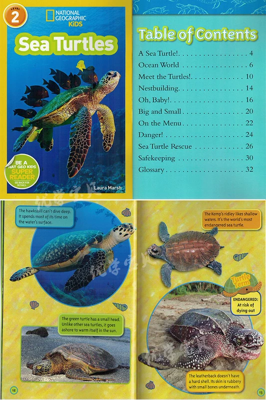 Nguyên bản tiếng Anh National Geographic Kids mức 2 con vật nhân đạo chặt chẽ việc bán 25 National Geographic lớp đọc sách thiếu nhi phiên bản đầy màu sắc của độc giả cuốn sách bách khoa toàn thư