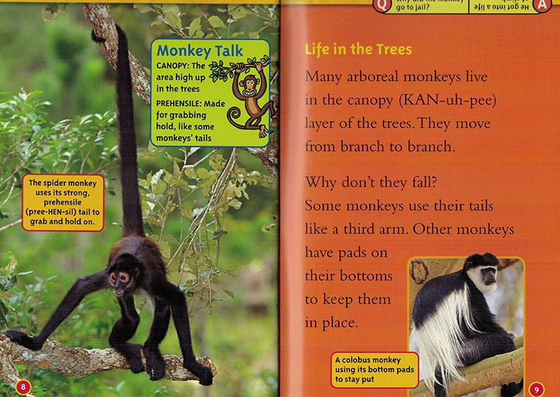 English truyện tranh gốc National Geographic Kids level2: Monkeys National Geographic Reading cho sách thiếu nhi tiếng Anh cho trẻ em từ điển bách khoa khoa học