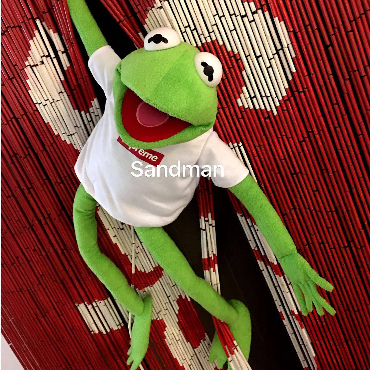 kermit supreme plush