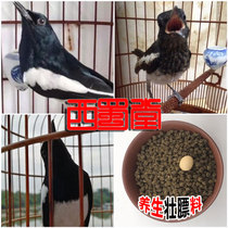 West Shu Hall Handmade Four Happy Birds Food Feed Nutrition Feats Daily Health Care Four Happy Birds Restaurants Happy Paparazzi