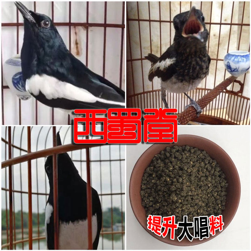 Xishutang handmade four-happy bird feed to improve the sex, singing, four-happy bird food feed, coloring, four-happy bird feed