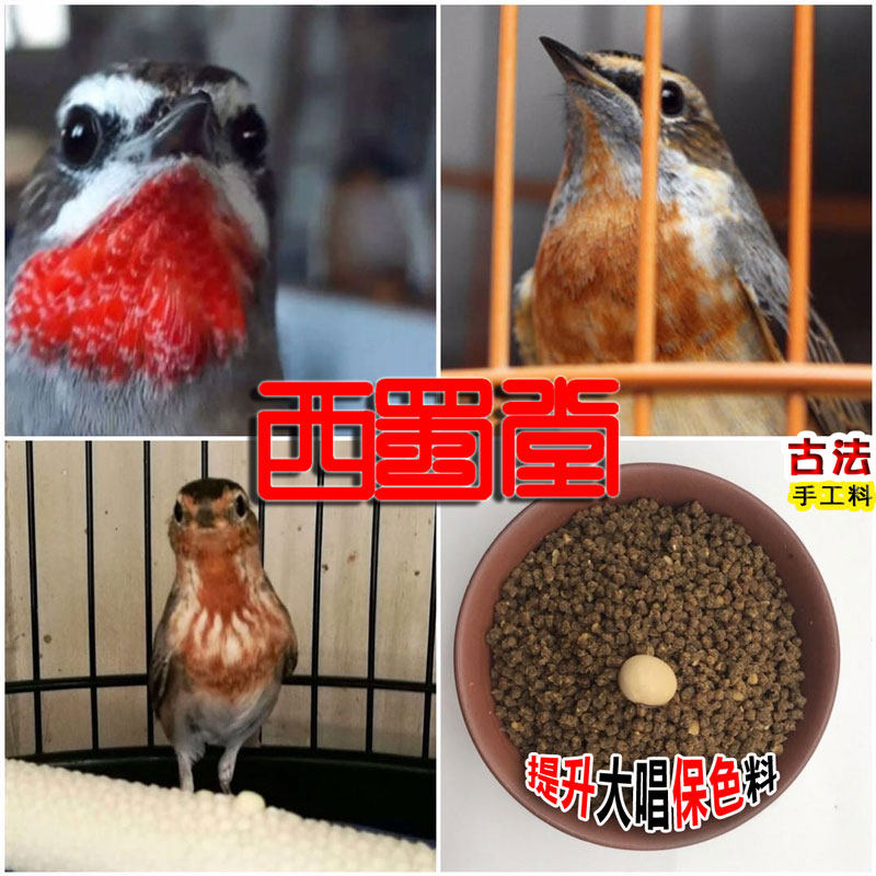 Xishutang handmade bright feathers and color preservation enhance the big singing indigo chin bird food insect-loving miscellaneous bird feed