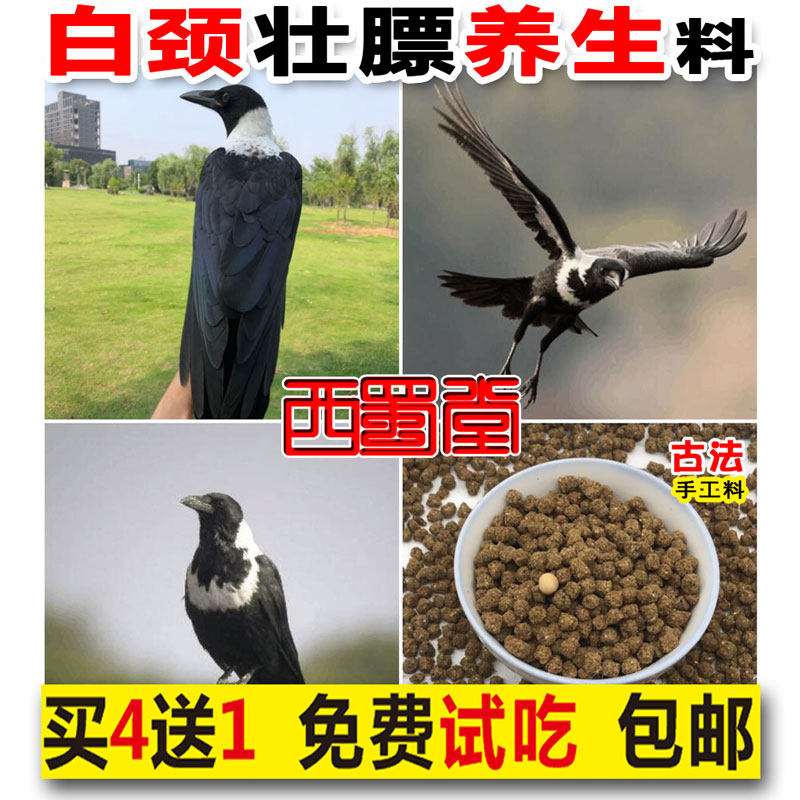 Xishutang handmade white-necked crow bird food feed nutrition strong mountain crow bird food crow domestication release bird feed