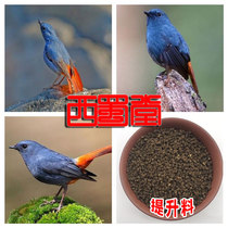 West Shu Tang Shiyan Bird Food Tiger Head Crested Yellow Throat Bunting Lift Large Singing Hobbies for Birds Feed Royalle Feed Royalle Feed Royalle