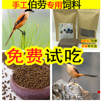 West Shu Hall Handmade Buru Bird Feed Nutritional and Fat Buru Bird Food Domesticated Buru Feed 500 gr
