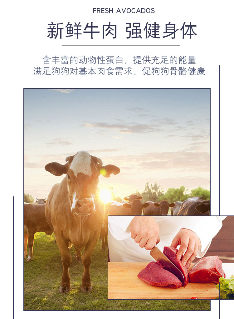Thức ăn cho chó có hương vị thịt bò Gấu bông Xiong VIP Xuena Ruiji Búp bê Golden Retriever chó con thức ăn dành cho người lớn 10 kg - Chó Staples cám cho chó