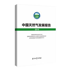 中国天然气发展报告(2019) 国家能源局石油天然气司、国务院发展研究中 著 经济理论、法规 经管、励志 石油工业出版社
