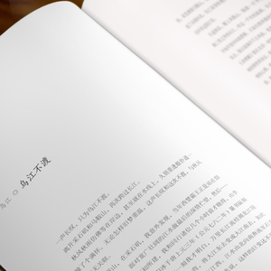 婆娑大地 刘醒龙 著 散文 文学 哈尔滨出版社 畅销书籍排行 新华正版