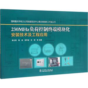 230MHz负荷控制终端模块化安装技术及工程应用 青志明 等 编著 著 水利电力 专业科技 中国电力出版社 9787512378094