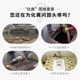 Septic Tank Dissolving Agent, Feces Decomposition Agent, Microbial Melting Deodorizing and Degradation Agent, Sewer Toilet Blockage