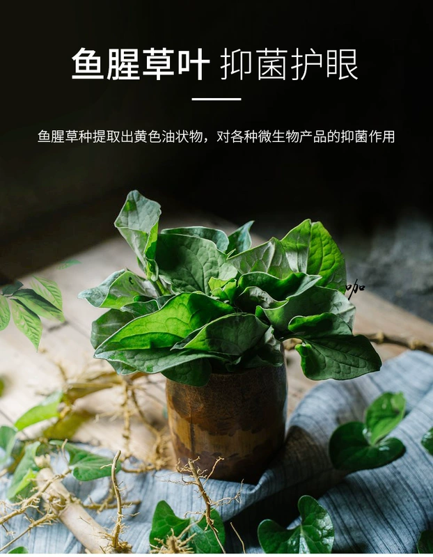 Yahe Yucao thú cưng thuốc nhỏ mắt mèo thuốc nhỏ mắt mèo giọt nước mắt - Thuốc nhỏ mắt thuốc nhỏ mắt nhân tạo