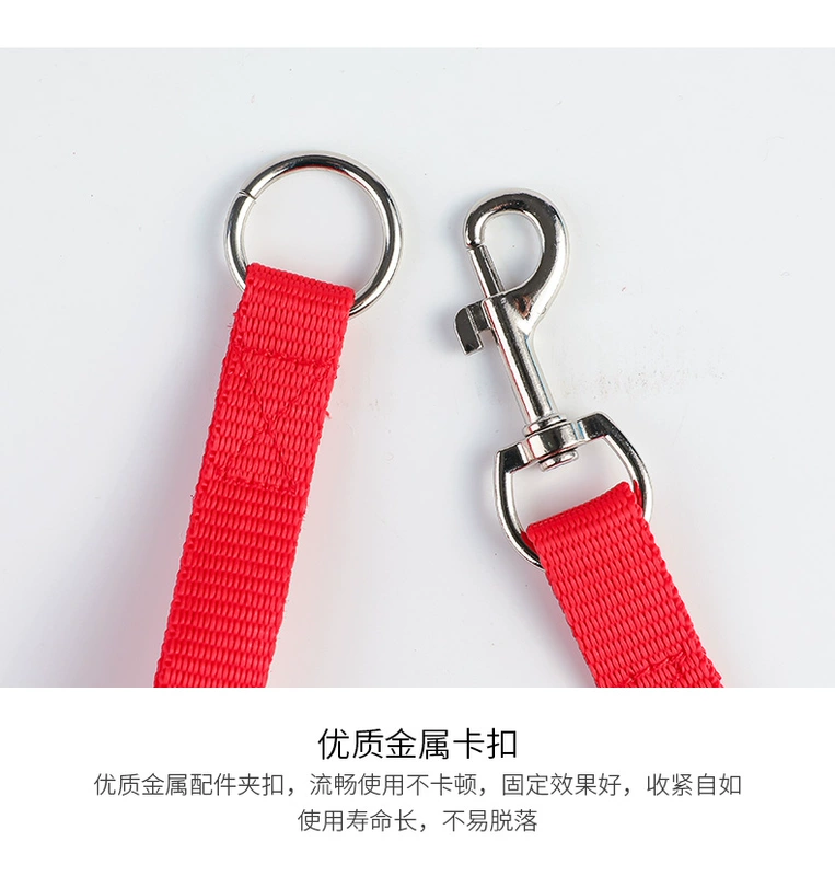 Chó kéo dây kiểu kéo dễ thương cún con kéo dây con chó nhỏ Teddy Bomei dây xích chó 遛 dây mèo - Cat / Dog hàng ngày Neccessities