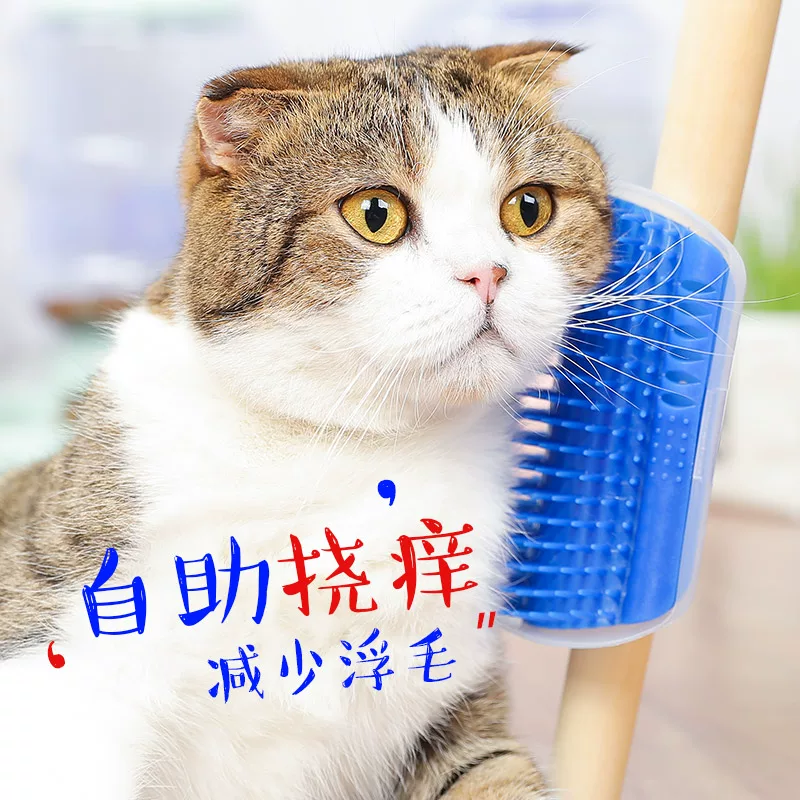 Кошачий уголок угла кошки