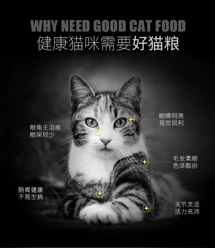 Mèo Yahe thức ăn cá biển hương vị mèo mèo mèo thức ăn mèo thức ăn chủ yếu thực phẩm mèo lớn mèo tự nhiên mèo thực phẩm chủ yếu 1kg hạt royal canin