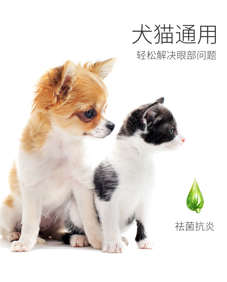 Mèo lau nước mắt cho mèo Nước mắt mèo kháng viêm kháng vật nuôi cộng với nước mắt mèo Philippines - Cat / Dog Beauty & Cleaning Supplies chải lông mèo