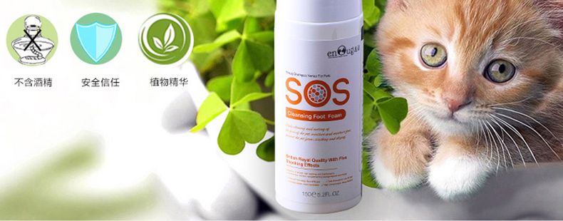 Pet làm sạch bọt rửa con chó chân chất lỏng cat dog chăm sóc bàn chân sạch chống nấm chống nứt vẻ đẹp làm sạch nguồn cung cấp găng tay loại bỏ lông thú cưng