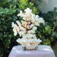Miễn phí vận chuyển gạc tự nhiên trắng san hô đá bonsai súp lơ vỏ cảnh quan mô hình trang trí phòng trang trí nhà quà tặng - Trang trí nội thất