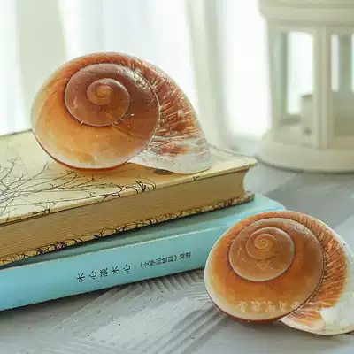 Natural conch shell bread snail Mediterranean home decorations photography props wedding set fish tank landscaping