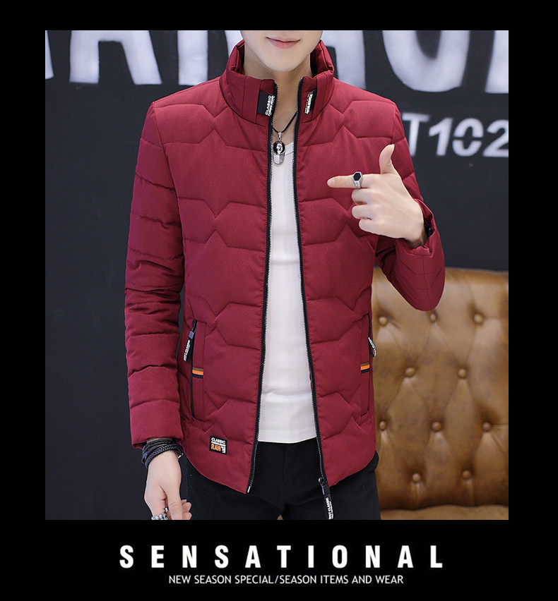 Blouson hiver pour homme DICK JESS - Ref 3114012 Image 29