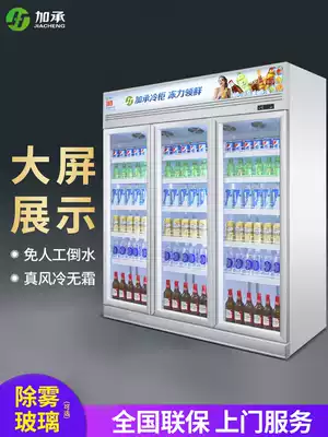 Plus beverage cabinet supermarket freezer commercial refrigerator vertical convenience store refrigerated display cabinet fruit fresh cabinet air-cooled