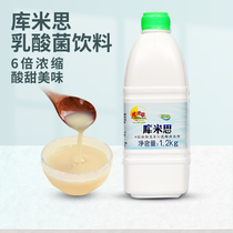 Kumis original lactic acid bacteria beverage yogurt milk tea shop special baking commercial concentrated yogurt more than 1 2kg
