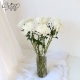Темно -серая белая хризантема 10 ветвей [с бутылкой]