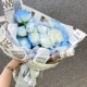 15 Фаграммы Bed Ice Blue B