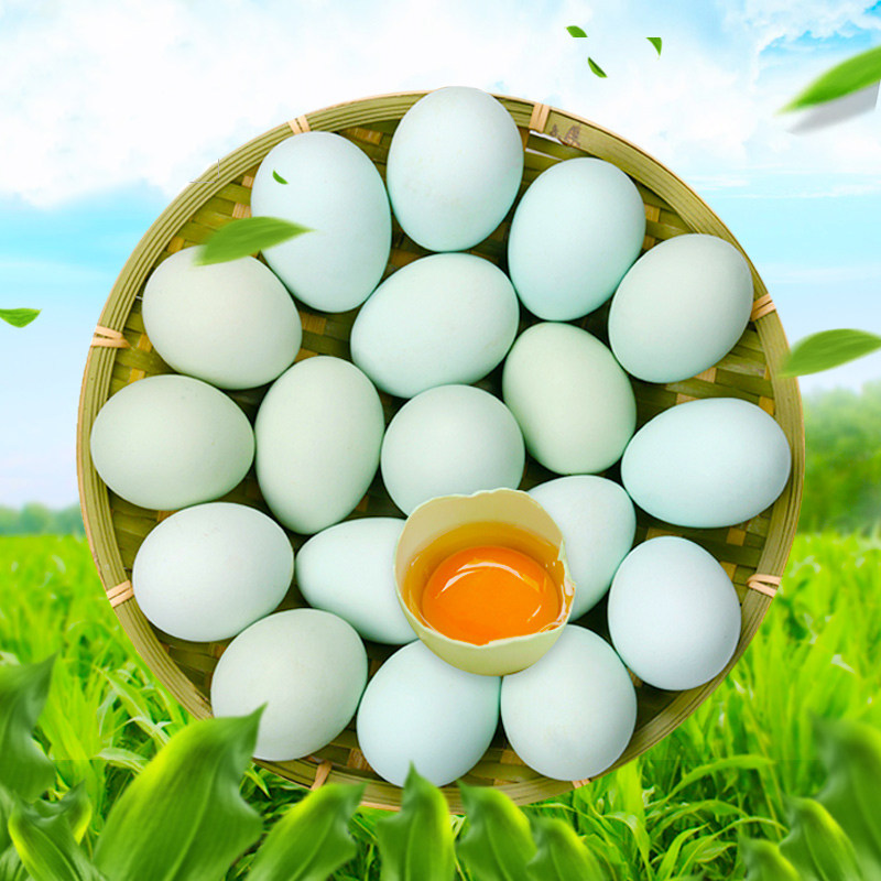Long Shun Green Shell Egg Farm Self-Food Egg Egg Fresh Now Pick Green Shell Egg