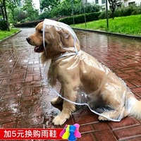 Пейнс -плащ