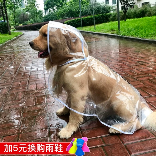 Пейнс -плащ